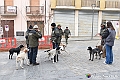 VBS_3761 - Quattordicesimo Raduno Nazionale dei Tabui 2024